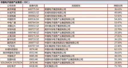 中国电子资产证券化率迈向80% 掘金机遇，聚焦上海软件开发概念股